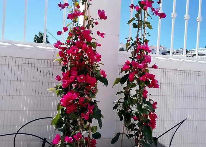 Marina Bella House- Sea View And Private Pool